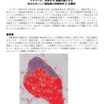 BreastCancerAI_Metadata2019_PressRel-0328nnZのサムネイル